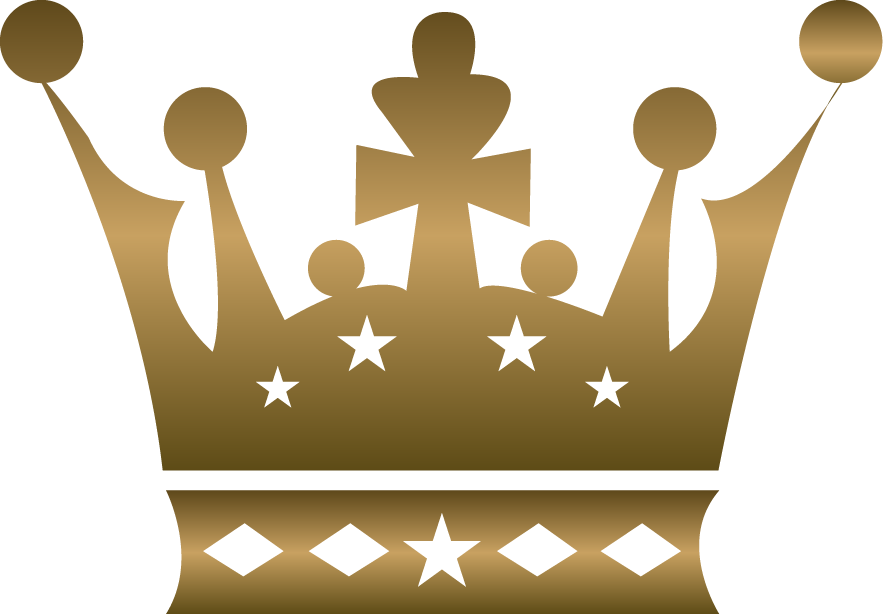 Rounded logo of Rysenova representing its brand identity in the HR software industry.